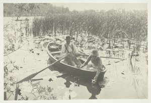 Indsamling af åkander af Peter Henry Emerson