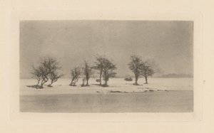 knudrede tornetræer af Peter Henry Emerson