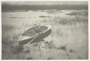 Gunner arbejder sig op til Fowl af Peter Henry Emerson
