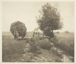 I Haysel (Norfolk) af Peter Henry Emerson