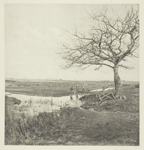 Leafless March (Suffolk) af Peter Henry Emerson