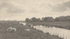 På floden Bure,1886 (foto) af Peter Henry Emerson