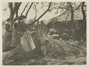 Osier-Peeling (Norfolk) af Peter Henry Emerson