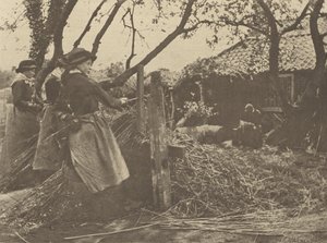 OsierPeeling. [Norfolk]]. af Peter Henry Emerson