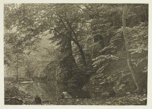 "Pike Pool" (nedefra) af Peter Henry Emerson