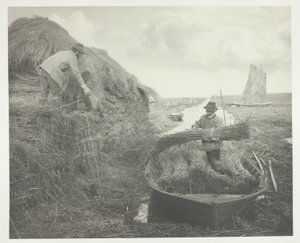 Ricking the Reed af Peter Henry Emerson