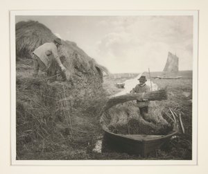 Ricking the Reed af Peter Henry Emerson