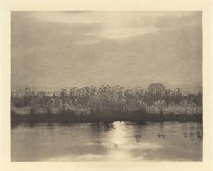 Rime Crystals,i eller før 1895 (foto) af Peter Henry Emerson