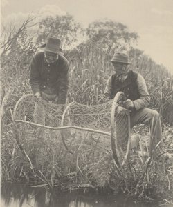 Opsætning af bue-nettet,1886 (foto) af Peter Henry Emerson