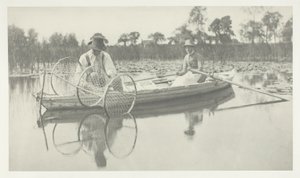 Indstilling af bue-nettet af Peter Henry Emerson