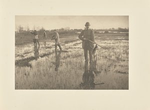  af Peter Henry Emerson
