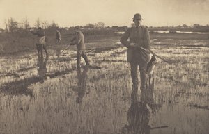  af Peter Henry Emerson