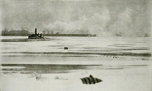 Vinterens Fjeder af Peter Henry Emerson