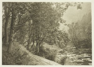 Stien over First Brae, Dove Dale af Peter Henry Emerson