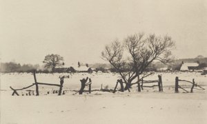 De sneklædte moser af Peter Henry Emerson