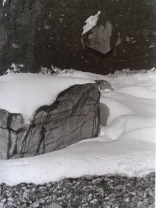 VINTAGE B&W FOTO No.3, 1985, (FOTO) af Peter McClure