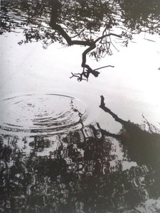 VINTAGE S/H-foto nr. 5, 1986, (FOTOGRAF) af Peter McClure