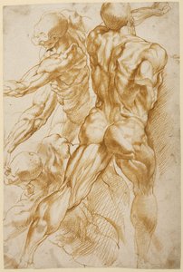 Anatomiske undersøgelser af Peter Paul Rubens