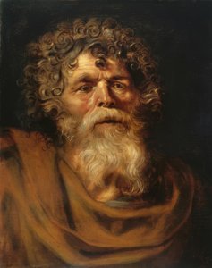 Portræt af en skægget gammel mand af Peter Paul Rubens
