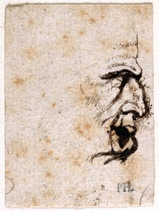 Galba, fra ti tegninger af otte af de første tolv Cæsarer, efter Giovanni da Cavinos medaljer (pen og blæk på papir) af Peter Paul Rubens