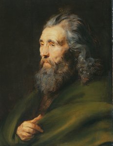 Hovedstudie af en skægget mand, ca. 1617 af Peter Paul Rubens