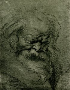 Hovedstudie for Bacchus af Peter Paul Rubens