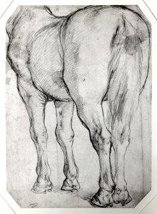 Hestens Ryg af Peter Paul Rubens