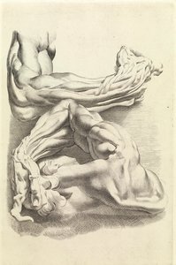 Muskler (gravering) af Peter Paul Rubens