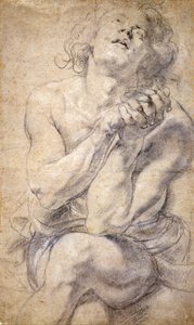 Siddende mandlig ungdom (undersøgelse til Daniel) af Peter Paul Rubens