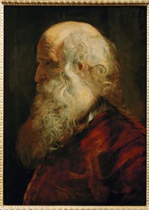 Studie af en gammel mand, ca. 1610 (maleri på egetræ) af Peter Paul Rubens