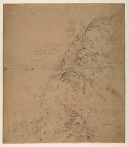 Undersøgelse af sorttorn med brambær og andre planter, 1620 ca af Peter Paul Rubens