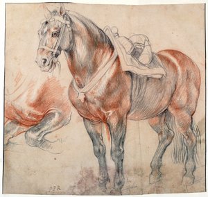 ""en sadelhest"" Akvarel af Pieter Paul Rubens (1577-1640) omkring 1616-1618 Wien Bibliotheque albertina af Peter Paul Rubens
