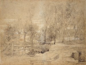 Skovscene, begyndelsen af det 17. århundrede af Peter Paul Rubens