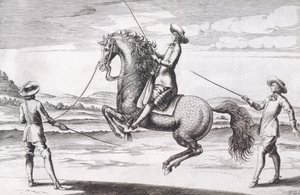 Illustration af en hest en Croupade fra New Treatise for Breeding Horses skrevet af Winters, Stuterey og Reit-Schul, udgivet af Winters, Stuterey og Reit-Schul. 1672 af Peter Paul Troschel