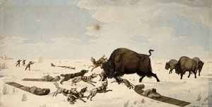 Bøffeljagt, ca. 1822-1824 af Peter Rindisbacher