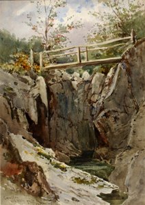 Curmillon, Midt-Wales, 1884. af Peter Toft
