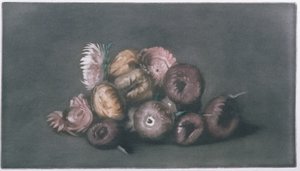Stilleben af tørrede blomster (farvet mezzotint) af Peter Vilhelm Ilsted