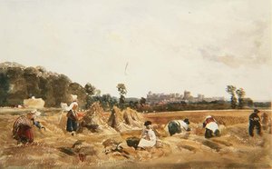 PD.129-1950 Cornfield, Windsor af Peter de Wint