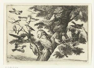 Fugle i et træ Diversarum avium arter (serietitel) Forskellige fugle (serietitel)