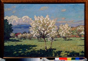 Kirsebær blomster. Maleri af Pyotr Ivanovich Petrovichev (Pyotr Petrovichev) (1874-1947), olie på lærred