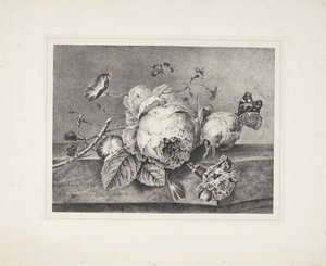 Blomsterstilleben af Petronella van Woensel