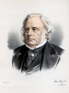 John Bright, britisk radikal og liberal statsmand, c1890. af Petter and Galpin Cassell