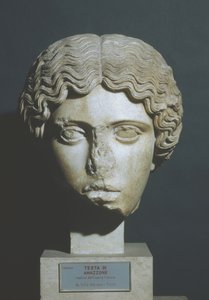 Amazons hoved af Phidias Phidias
