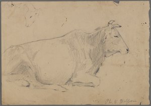 Siddende tyr (grafit på papir) af Philip H. Wolfrom