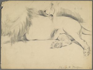 Studier af en løve (grafit på papir) af Philip H. Wolfrom
