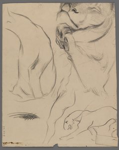 Studier af en løve (grafit på papir) af Philip H. Wolfrom