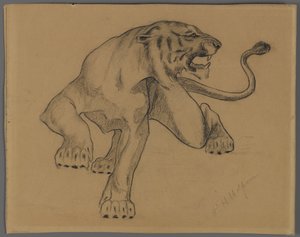 Tiger (historie med blyant på papir)