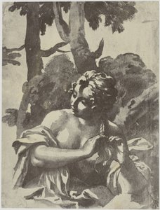 Netscher, en pige, der fletter sit hår af Philip Henry Delamotte