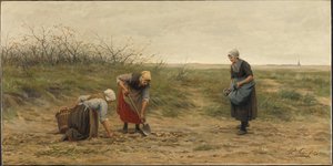 Scheveningen kvinder læser en høstet kartoffelmark af Philip Sadée