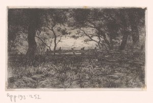 Eng med hegn og træer Kranenburg (original titel)